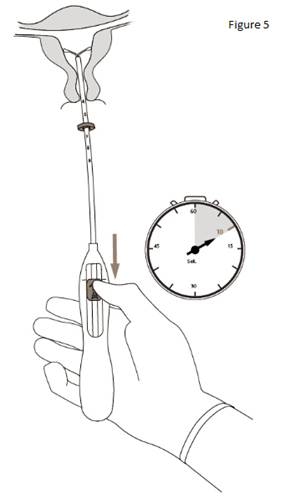 Figure 5